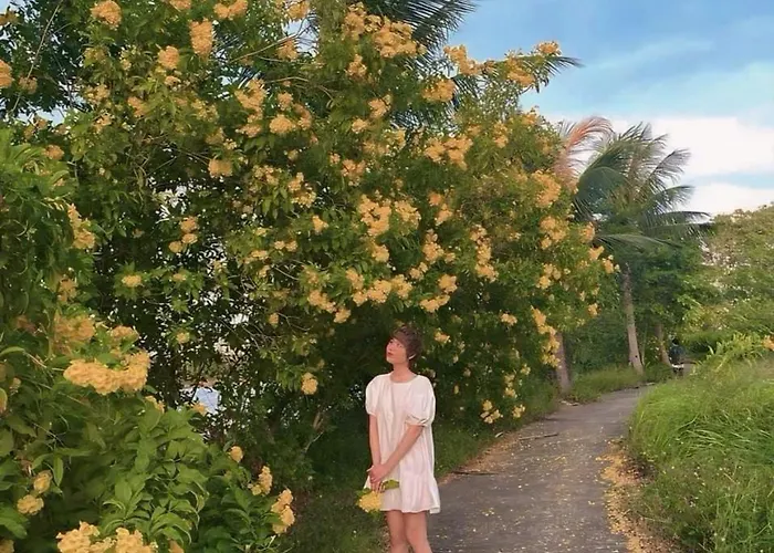 Căn 5 Ngủ - Royal Lotus Hạ Long